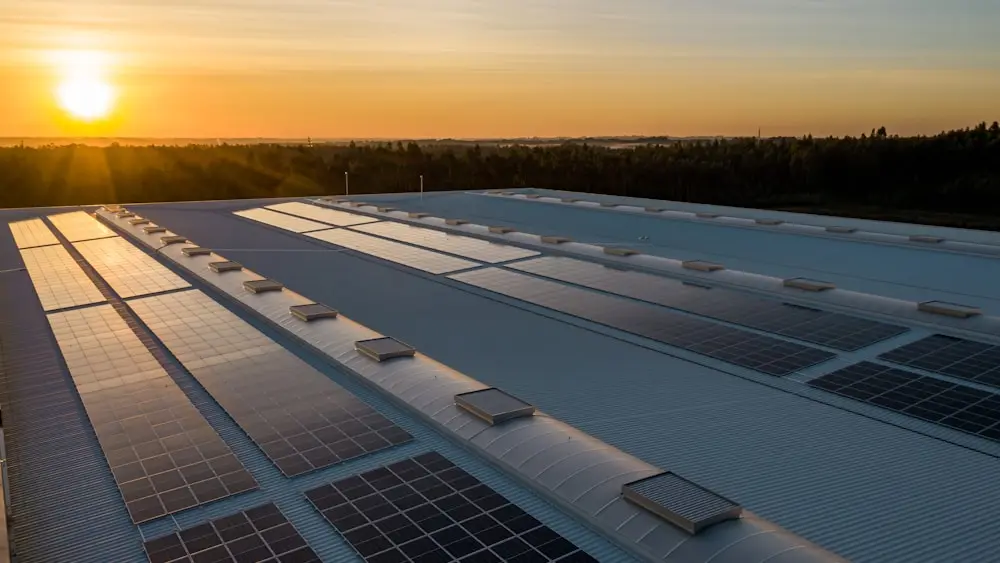 Rows of solar panels across a roof at sunset